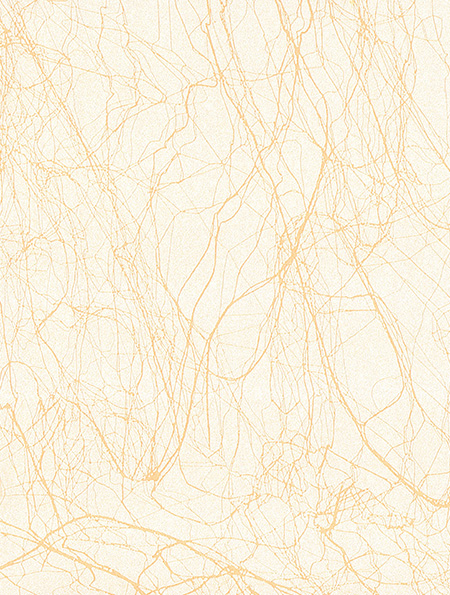 情絲 / 無(wú)縫板